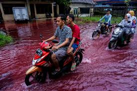 Banjir Pekalongan